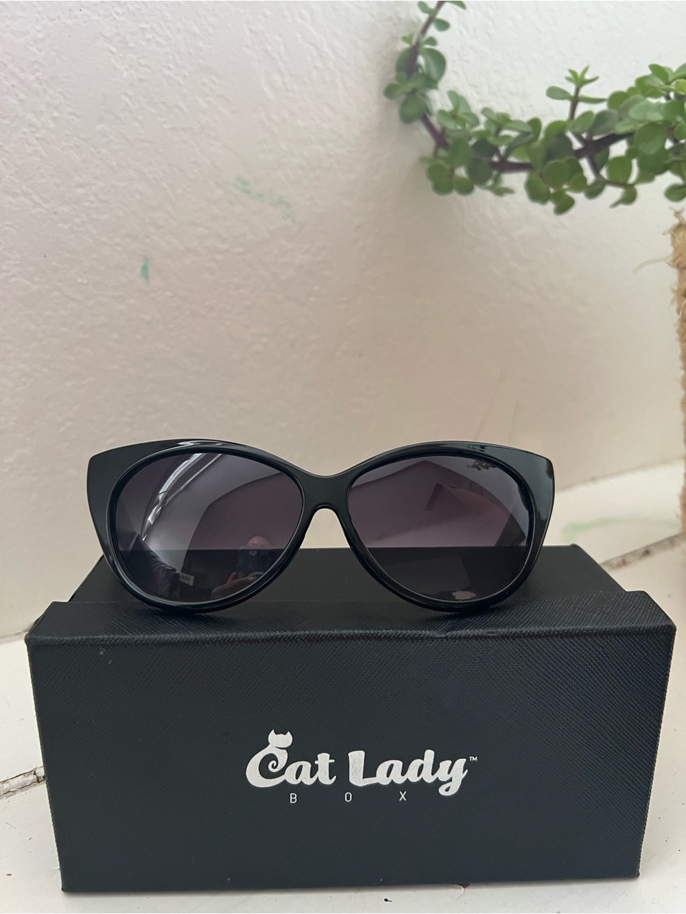 Black Cat-Eye Sunglasses